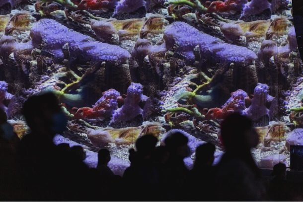 AquA(l)formings by Robertina Šebjanič, Sofia Crespo, Feileacan McCormick  photo by Nejc Ketis/Kino Šiška  