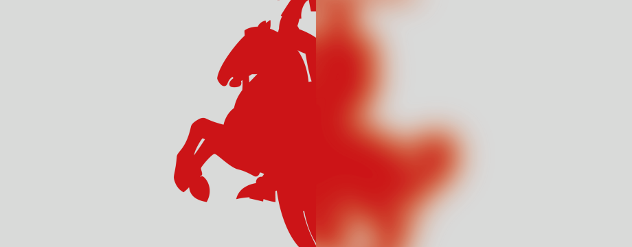 cover12112x50
