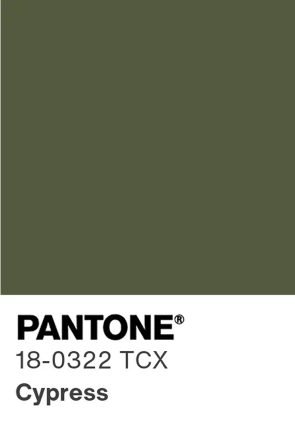 pantone-color-chip-18-0322-tcx 1