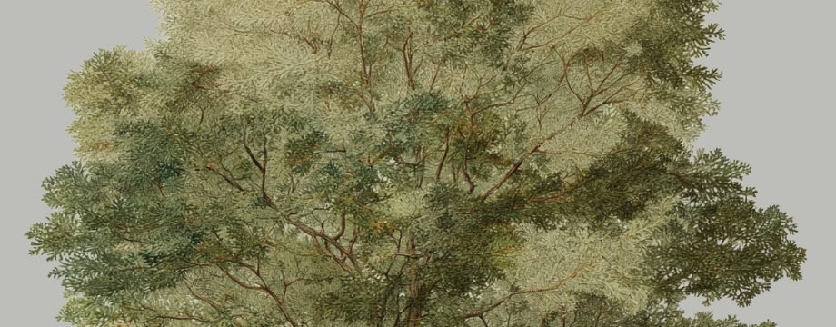 Ілюстрацыйная выява.